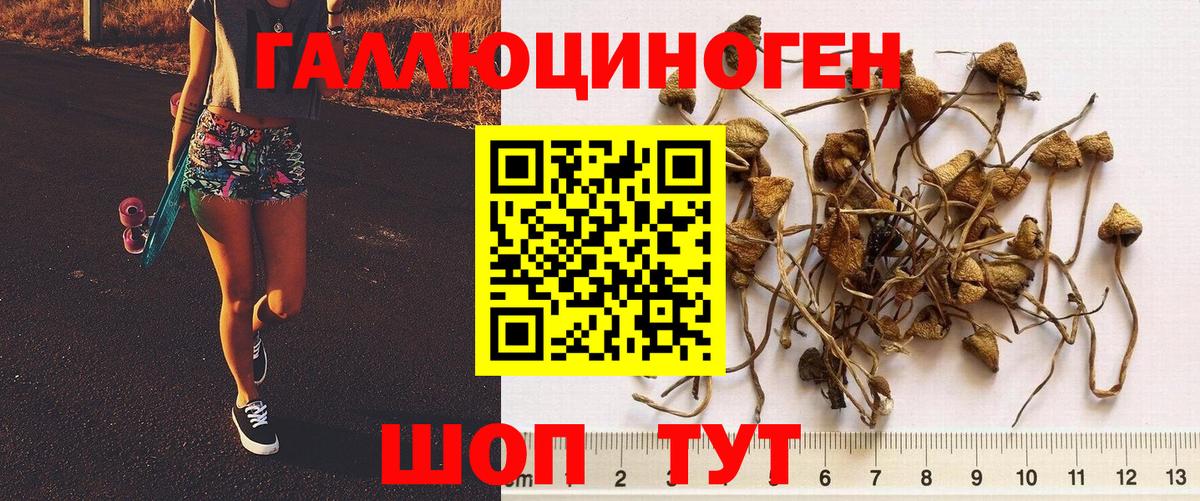 Псилоцибиновые грибы прущие грибы  Вход с VPN  Туймазы 
